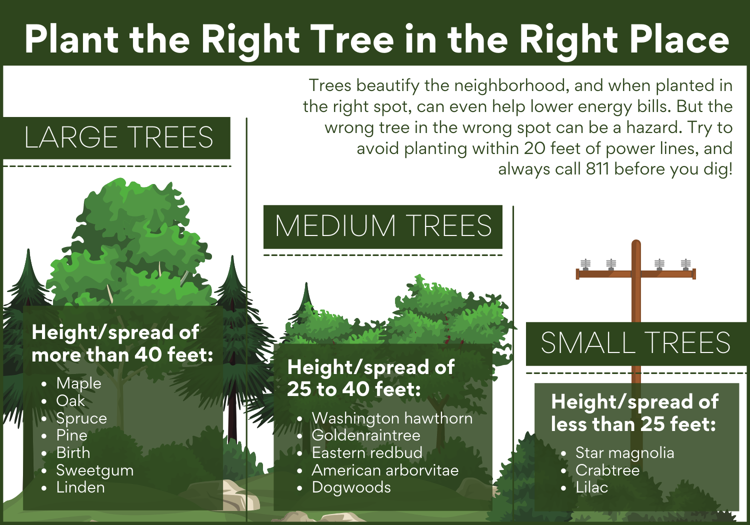 Plant the right trees in the right place